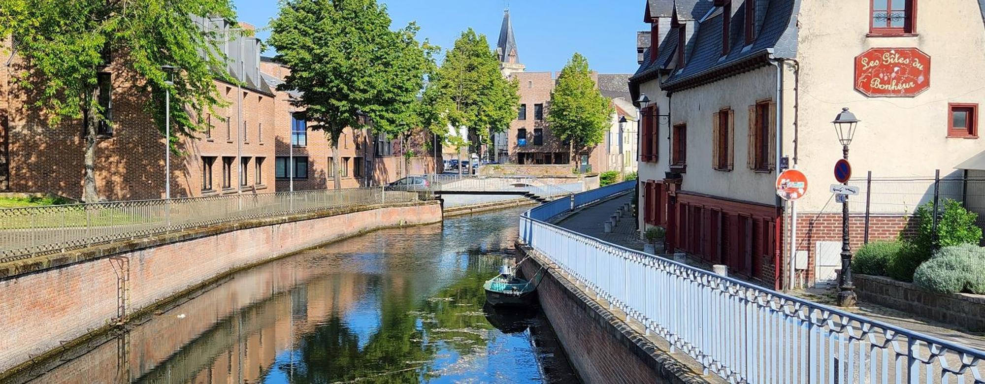 Les Hortensias Blancs * Amiens