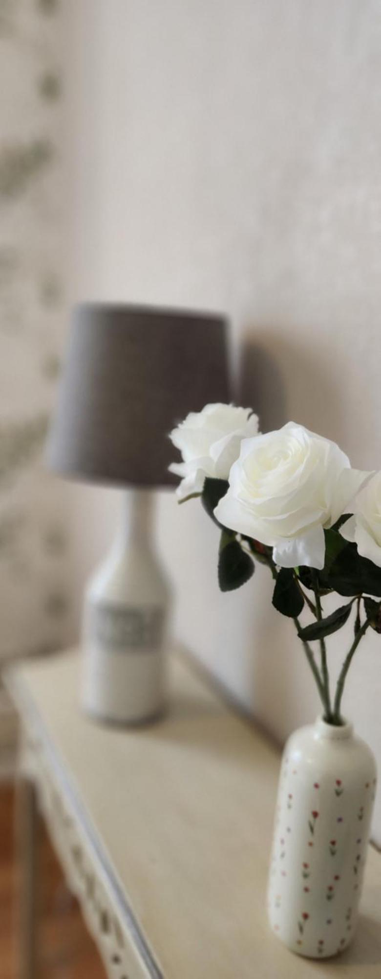 Les Hortensias Blancs Apartment *