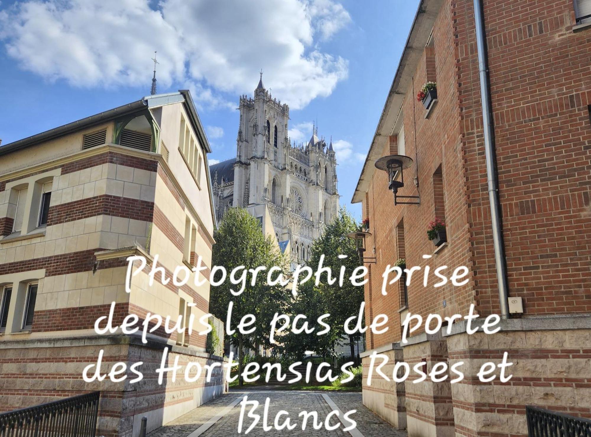 Les Hortensias Blancs Apartment Amiens